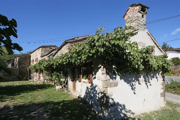 Вілла Istrian Experience Socerga Екстер'єр фото